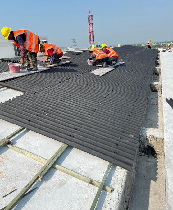 ����������